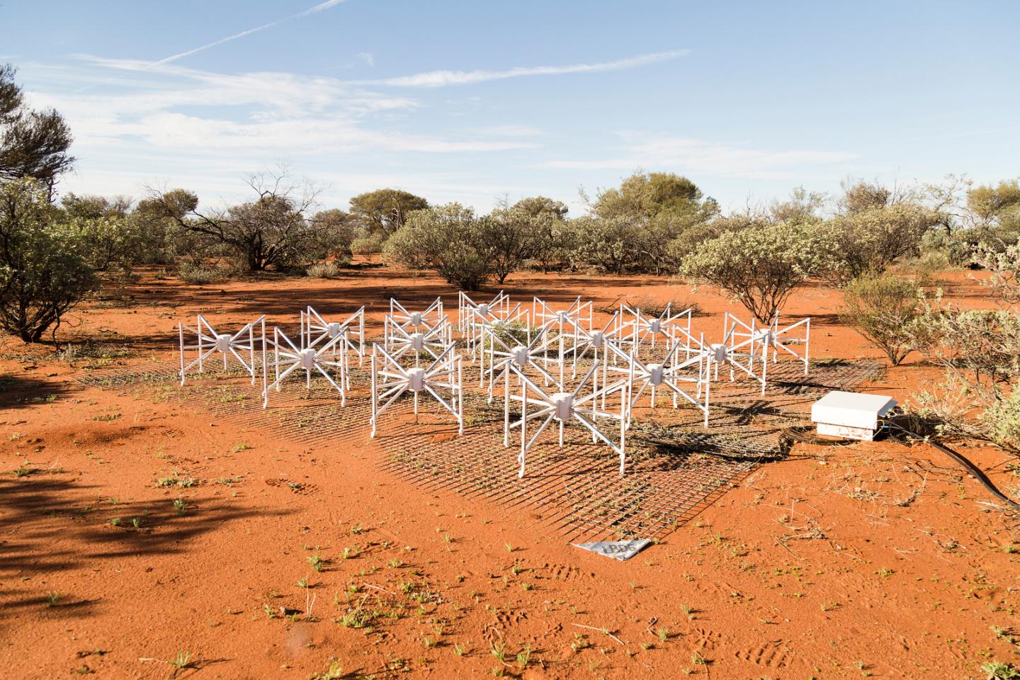 MWA Radio Telescope