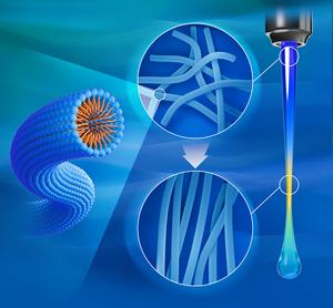Development of a novel technique for simultaneous measurement of viscoelasticity and birefringence of micellar solutions