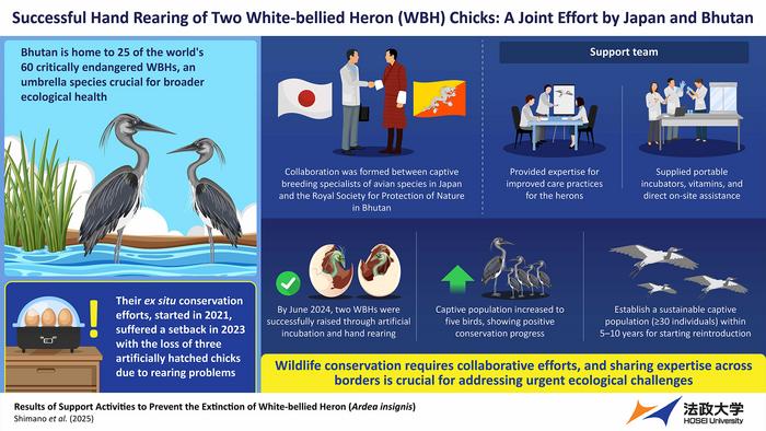 For Reviving the White-bellied Heron: A Collaborative Ex Situ Conservation between the Japan Team and the Royal Society for Protection of Nature in Bhutan