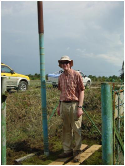 Subsidence Pole Inserted in Peatland in Johor, Peninsular Malaysia