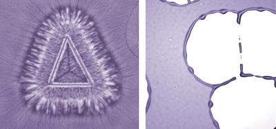 Insights into Polymer Film Instability Could Aid High Tech Industries