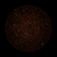 MeerKAT Image of Radio Galaxies
