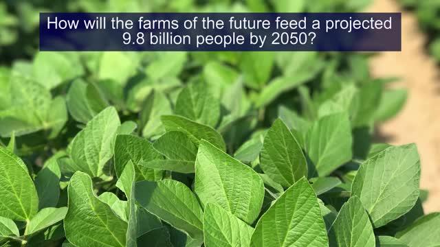 Harnessing the Power of Soil Microbes for More Sustainable Farming