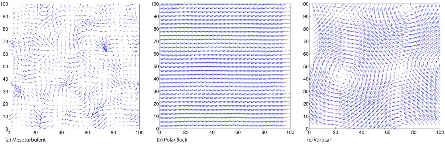 Three Flow Pattern Phases