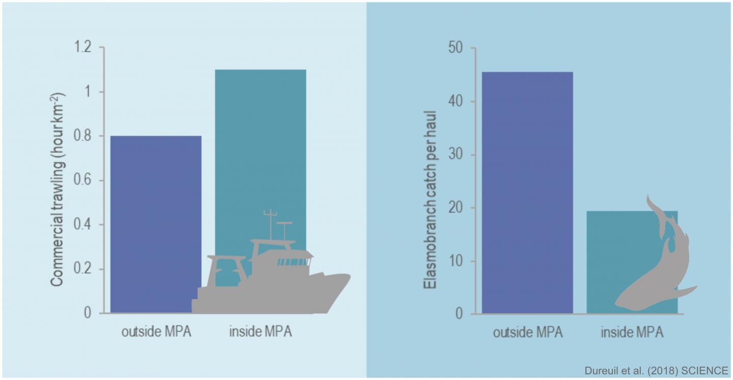 Not All Marine Protected Areas Are Created Equal (1 of 2)