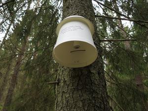 Microclimate sensor