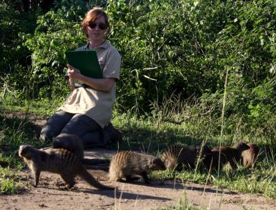 Mongoose (2 of 3)