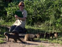 Mongoose (2 of 3)