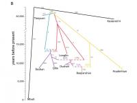 Phylogenetic tree of early Asian populations