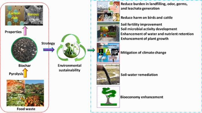 Food waste biochar: a sustainable solution for agriculture application and soil–water remediation