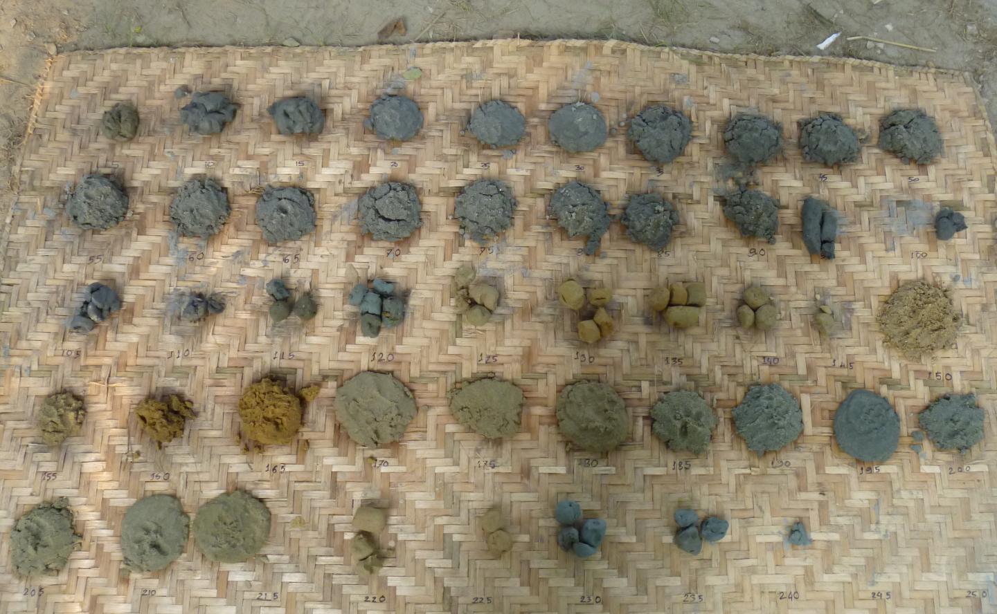 Sediment Samples