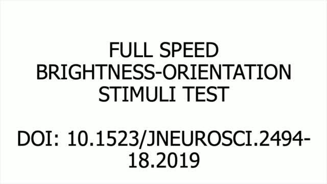 Fast and Slow Videos of the Attention and Perception Test