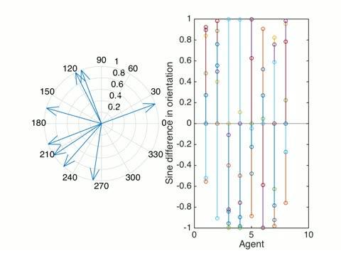 Orientation Synchronization