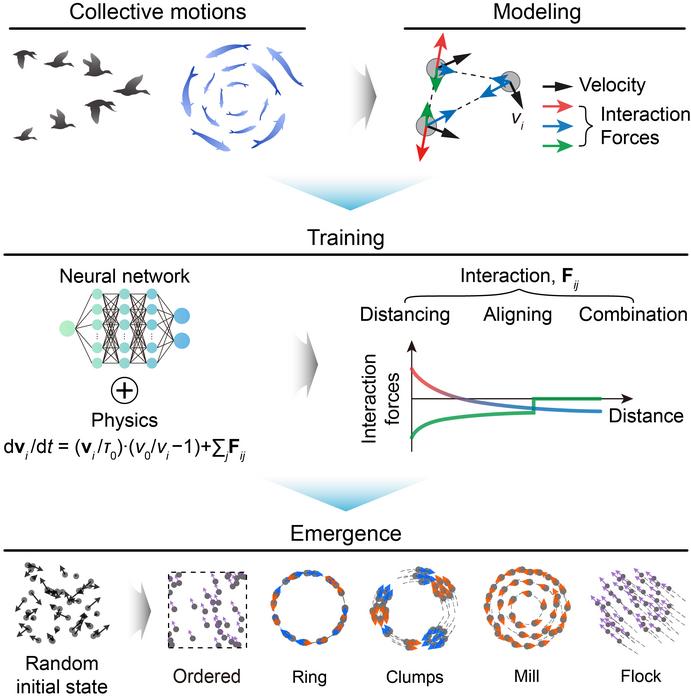 Figure 2. Graphical abstract: schematic of the overall training pipeline for the neural network.