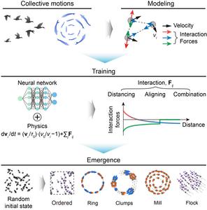 Figure 2. Graphical abstract: schematic of the overall training pipeline for the neural network.
