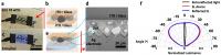Structure and Characteristics of Electroluminescent Device 