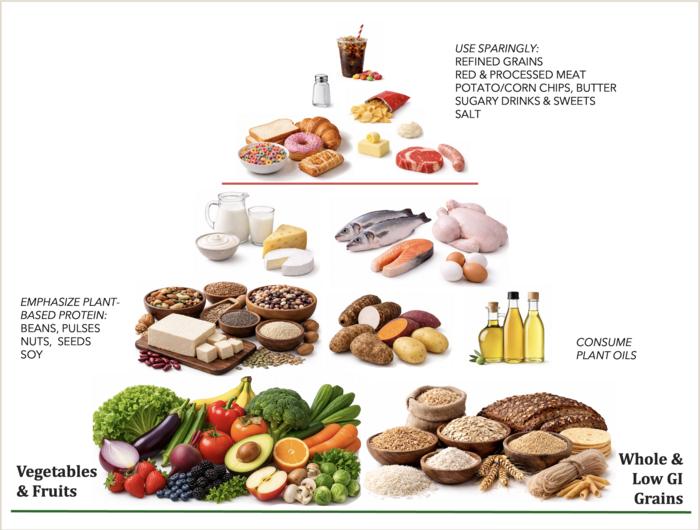International Food Pyramid