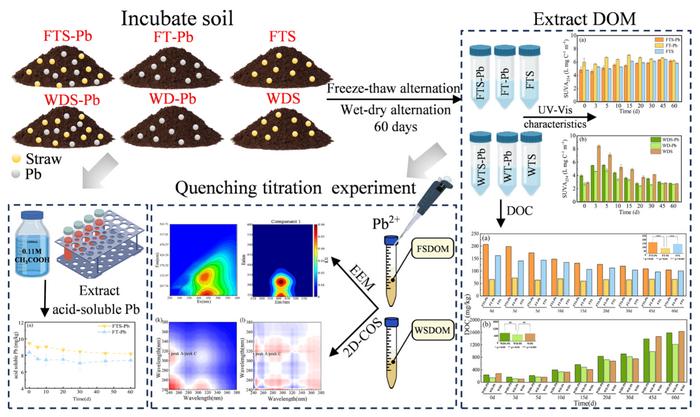 Compositional evolution of dissolved organic matter mobilized by straw incorporation and its climate-driven interactions with lead in cold-region black soil: decoding mechanisms through PARAFAC and complexation modeling