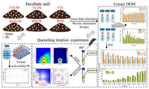 Compositional evolution of dissolved organic matter mobilized by straw incorporation and its climate-driven interactions with lead in cold-region black soil: decoding mechanisms through PARAFAC and complexation modeling