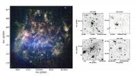 LMC Composite and Clusters Pullout