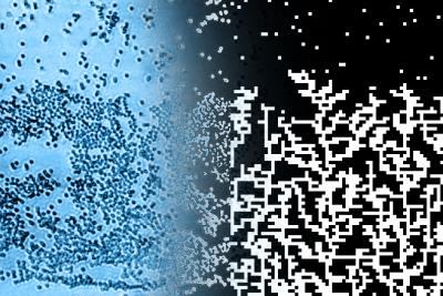 KPZ Process in Drying Drops