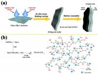 the Schematic Illustration of In-Situ Preparation of PTB@GF-GPE