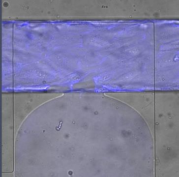 Bleeding Device Video