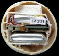 Egg interior