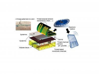 Threads Penetrate Multiple Layers of Tissue