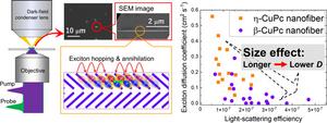 Femtosecond Single-Particle Spectroscopy of Exciton Diffusion in Individual Copper Phthalocyanine Nanofibers