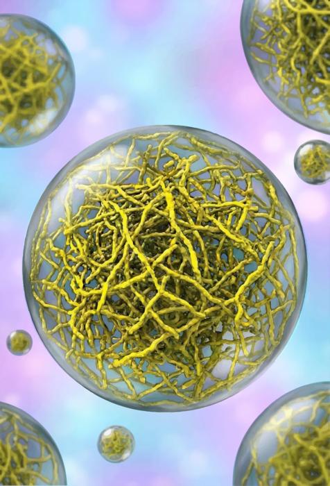 Hidden architecture inside cellular droplets reveals new targets for cancer and neurodegeneration