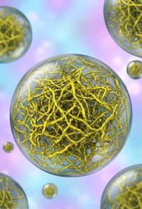 Hidden architecture inside cellular droplets reveals new targets for cancer and neurodegeneration