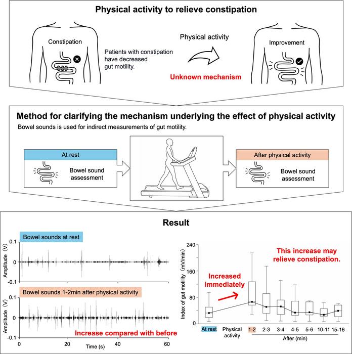 Effect of Physical Activity on Bowel Sounds as an Indicator of Gut Motility