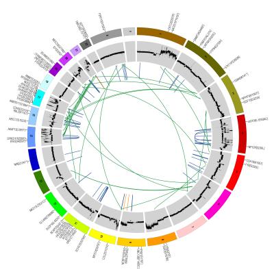 Decoding DNA Finds Breast Tumor Signatures that Predict Treatment Response