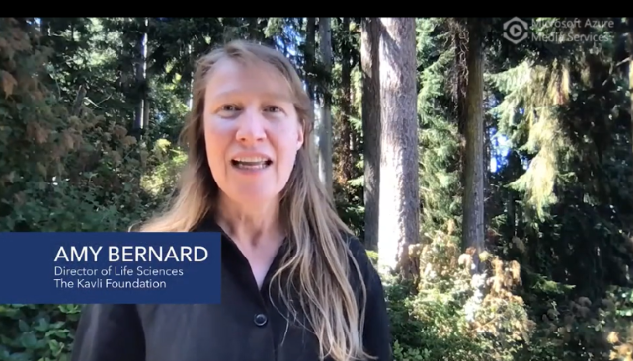 Neurobiology and Changing Ecosystems, a new initiative to explore how neural systems are impacted by accelerated changes to the environment.