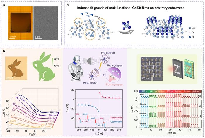 Figure | Induced fit growth of Ga-based semiconductor thin films and multifunctional applications.