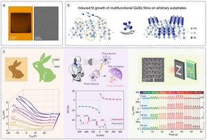 Figure | Induced fit growth of Ga-based semiconductor thin films and multifunctional applications.