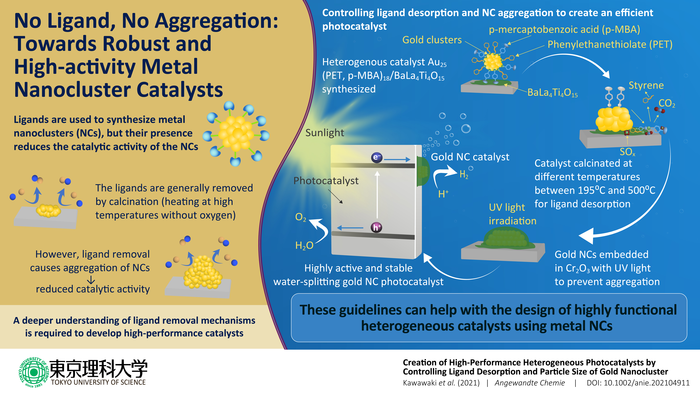 Gold Nanoclusters