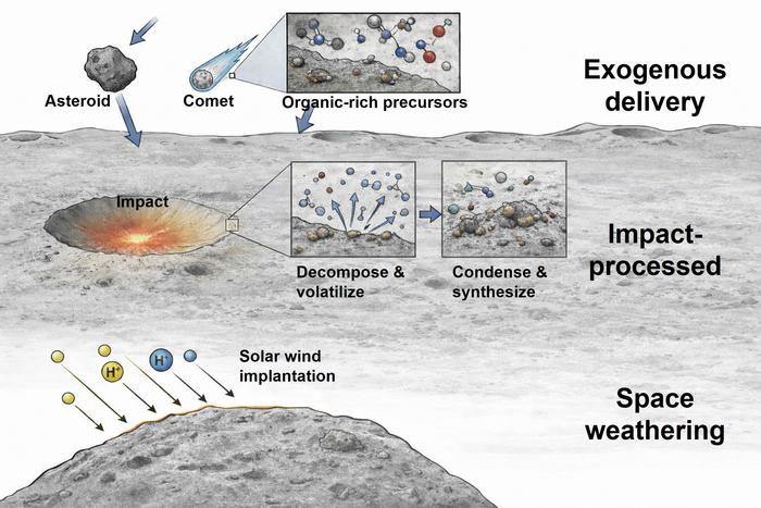 Schematic illustration of the formation and evolution of organic matter in lunar soil