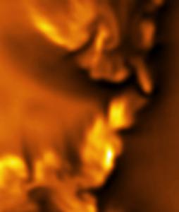 Inouye Main Image Close-Up