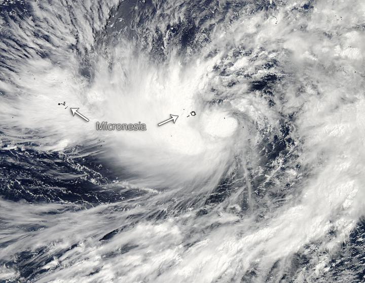 MODIS Image of Dolphin