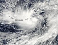 MODIS Image of Dolphin