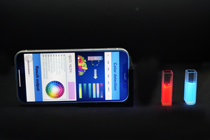 Ratiometric Fluorescence Sensing System Provides Smarter and Faster Screening of Carbendazim Residues