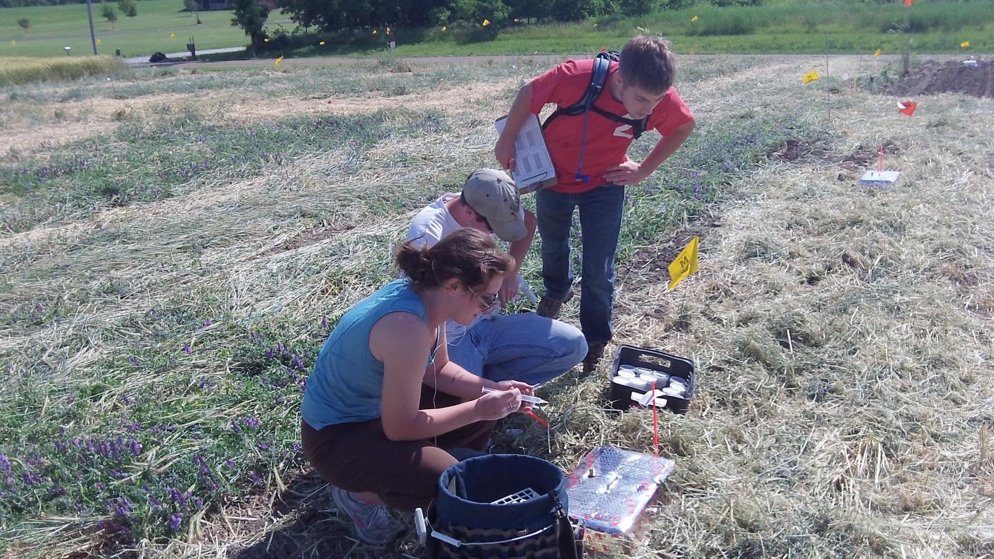 Collect Soil Samples