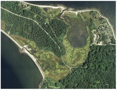 Rhode Island Marsh