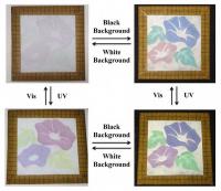 Color Change of Pigment Obtained by Fusing Spherical Colloidal Crystal and Diarylethene