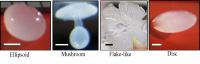 Four Unique Non-spherical Shapes