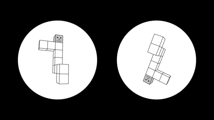 Objects with faces used in the experiment