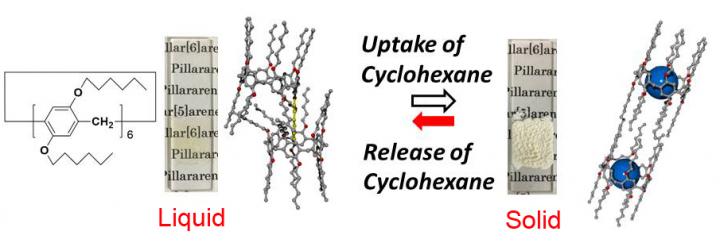 Schematic Illustration