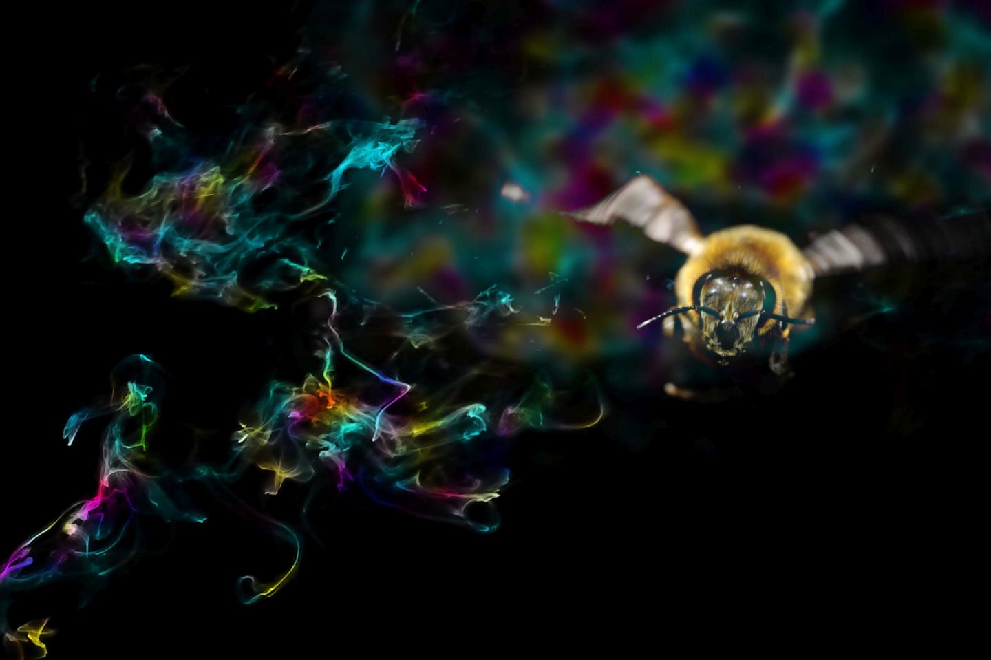 Bee
